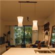 Hanging Cactu Xl