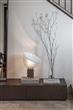 Casa Gabi Lopez - Estudio Basz