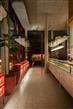 Betular Patisserie - Estudio MMCV