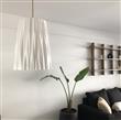 Hanging Cactu XXl