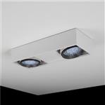 Compact plafón de techo 2 luces AR111