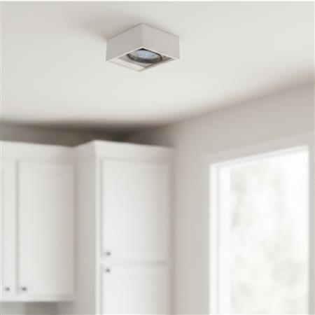 Compact plafón de techo 1 luz AR111