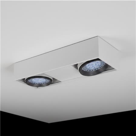 Compact plafón de techo 2 luces AR111