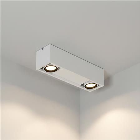 Compact plafón de techo 2 luces PAR16